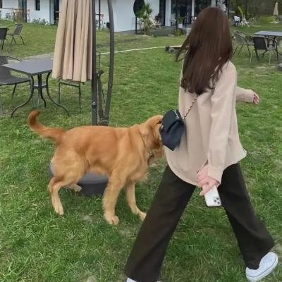 占欲情人